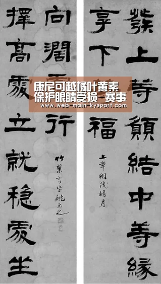康尼可越橘叶黄素 保护眼睛受损-赛事数据(图2) 赛事数据